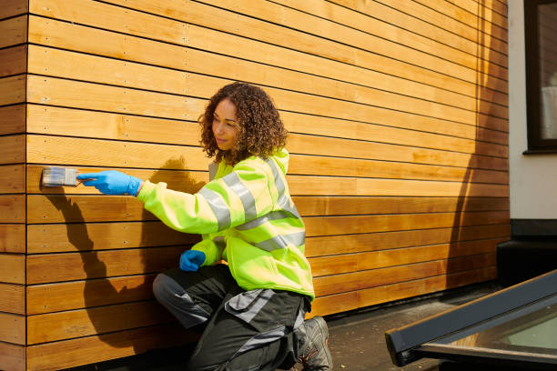Affordable Siding Repair and Maintenance Services in Prospect, KY